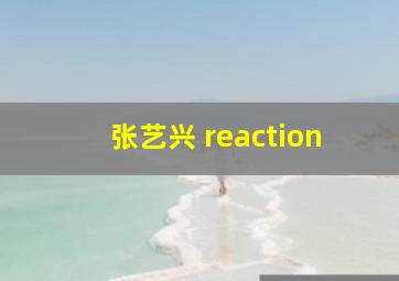 张艺兴 reaction